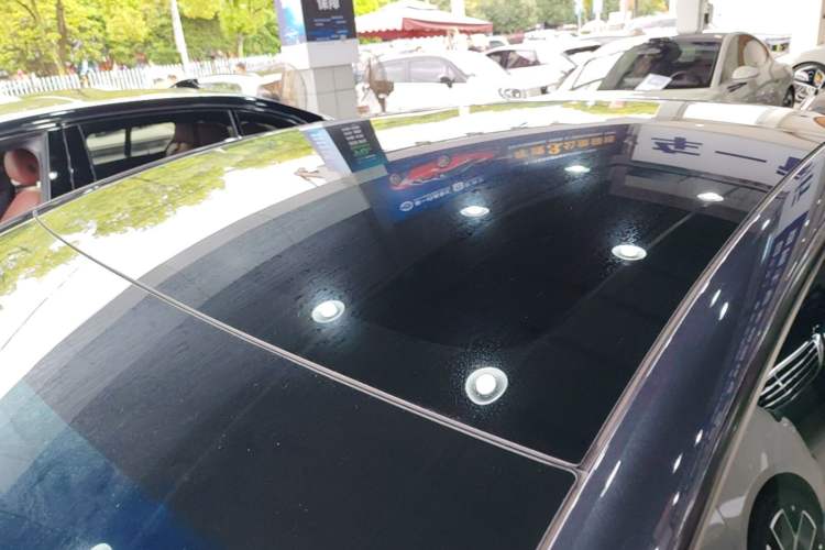 Used Tesla Model 3 2023 Rear-Wheel-Drive Version Roof