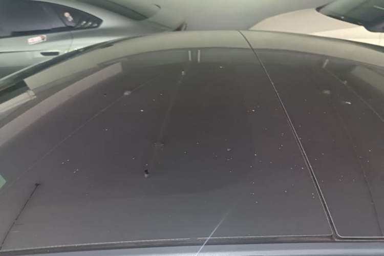 Used Tesla Model 3 2023 Long-Range All-Wheel-Drive Version Roof