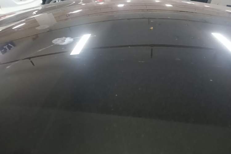 Used Tesla Model 3 2023 Rear-Wheel-Drive Version Roof