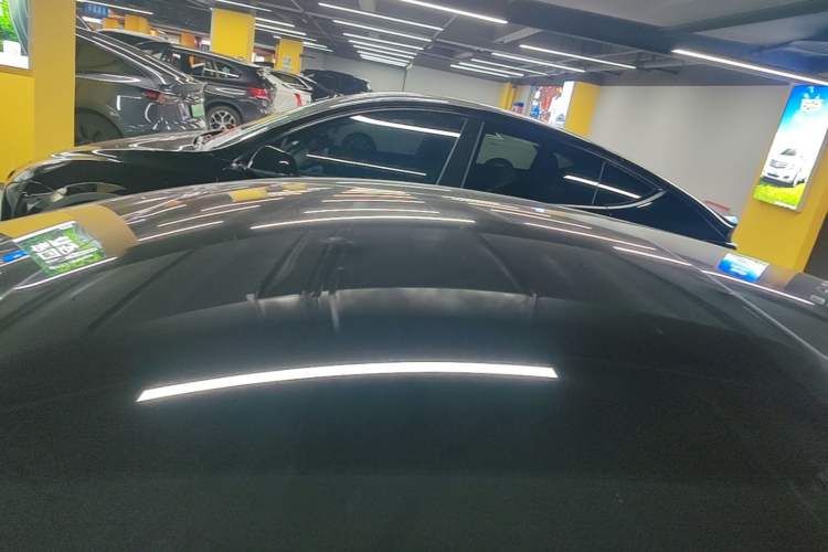 Used Tesla Model 3 2023 Rear-Wheel-Drive Version Roof