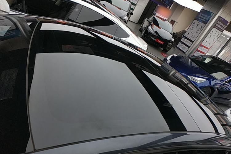 Used Tesla Model 3 2023 Rear-Wheel-Drive Version Roof