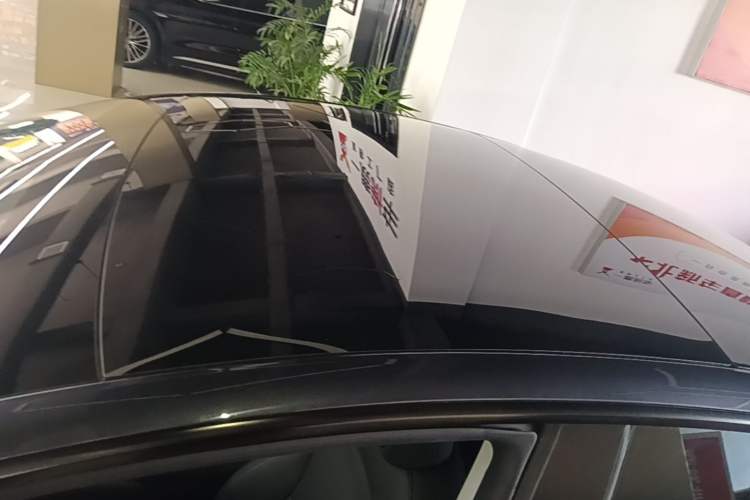 Used Tesla Model 3 2023 Rear-Wheel-Drive Version Roof