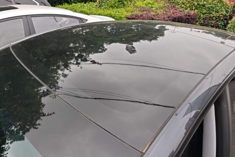 Used Tesla Model 3 2023 Rear-Wheel-Drive Version Roof