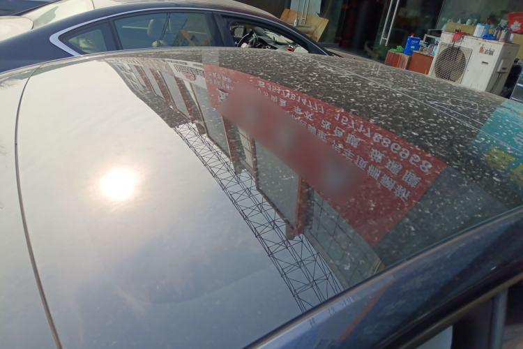 Used Tesla Model 3 2023 Rear-Wheel-Drive Version Roof