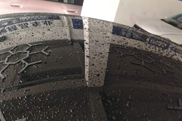Used Tesla Model 3 2023 Rear-Wheel-Drive Version Roof