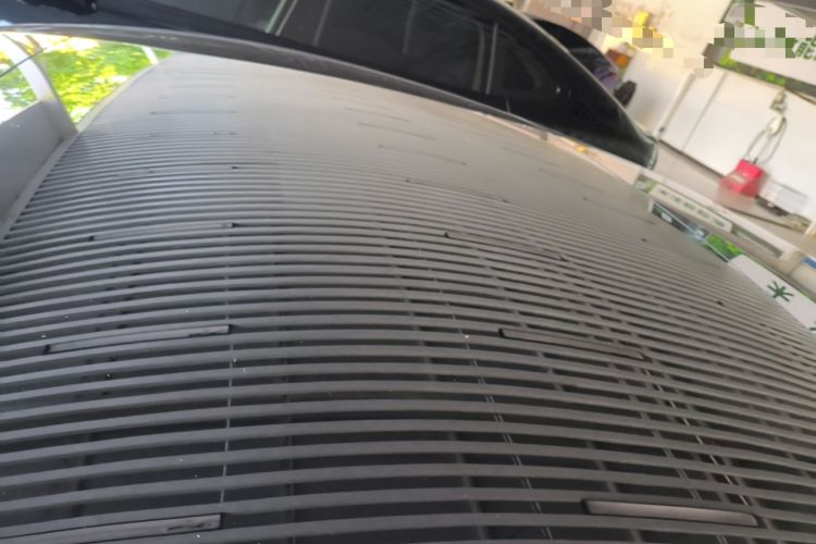 Used Tesla Model 3 2023 Rear-Wheel-Drive Version Roof