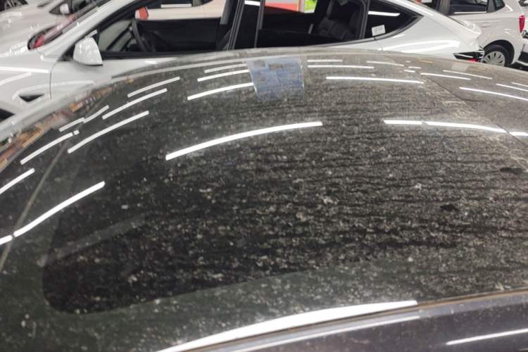 Used Tesla Model 3 2023 Rear-Wheel-Drive Version Roof