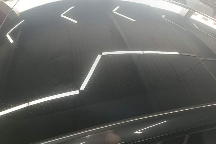 Used Tesla Model 3 2023 Rear-Wheel-Drive Version Roof