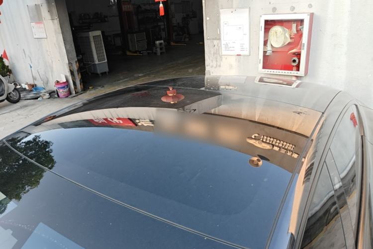Used Tesla Model 3 2023 Rear-Wheel-Drive Version Roof