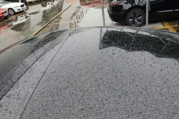 Used Tesla Model 3 2023 Rear-Wheel-Drive Version Roof