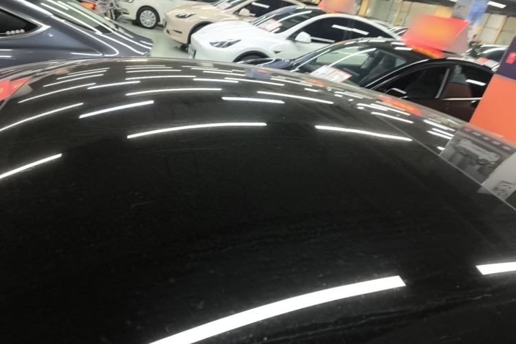 Used Tesla Model 3 2023 Long-Range All-Wheel-Drive Version Roof