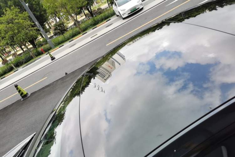 Used Tesla Model 3 2023 Rear-Wheel-Drive Version Roof