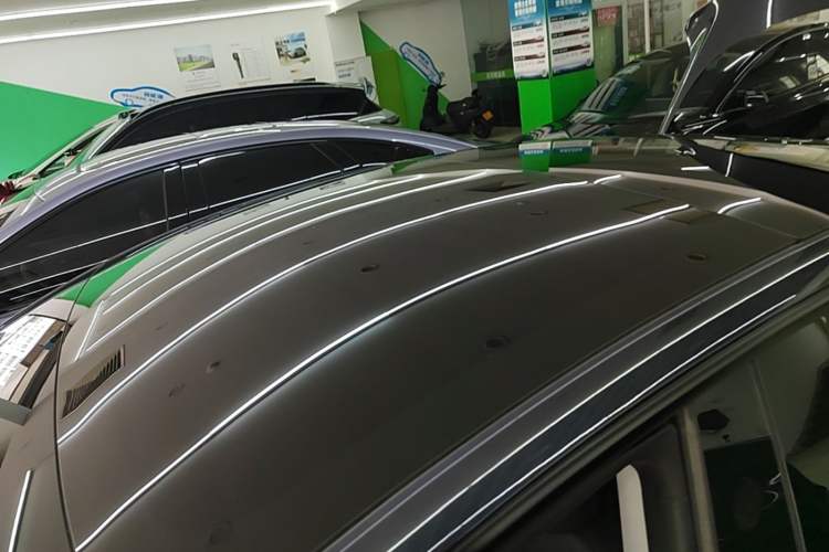 Used Tesla Model 3 2023 Rear-Wheel-Drive Version Roof