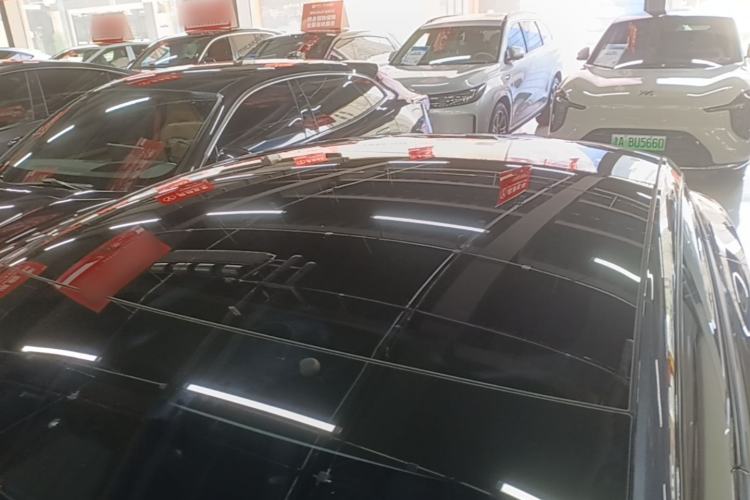Used Tesla Model 3 2023 Long-Range All-Wheel-Drive Version Roof