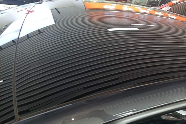 Used Tesla Model 3 2023 Rear-Wheel-Drive Version Roof