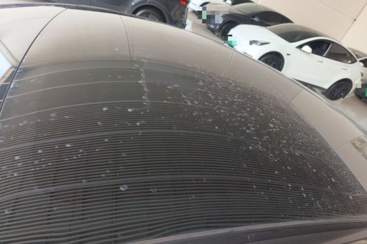 Used Tesla Model 3 2023 Rear-Wheel-Drive Version Roof
