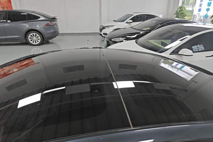 Used Tesla Model 3 2023 Rear-Wheel-Drive Version Roof