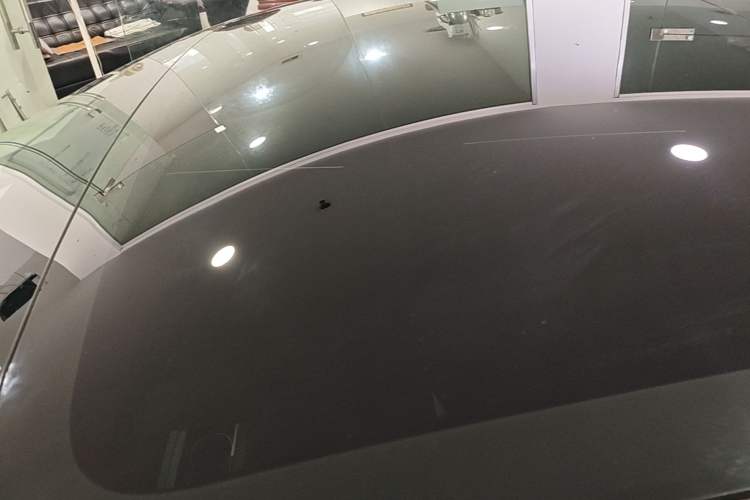 Used Tesla Model 3 2023 Rear-Wheel-Drive Version Roof