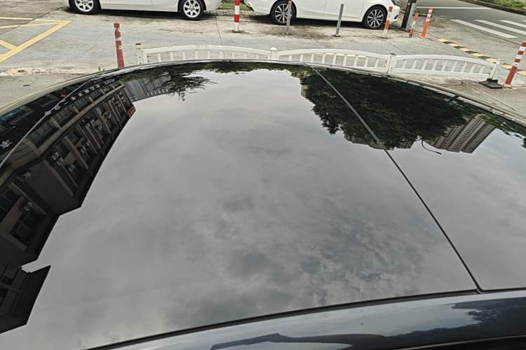 Used Tesla Model 3 2023 Rear-Wheel-Drive Version Roof