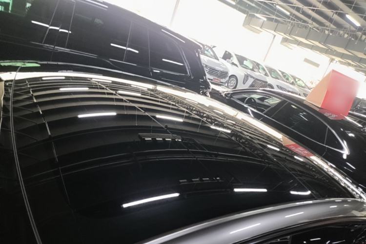 Used Tesla Model 3 2023 Rear-Wheel-Drive Version Roof