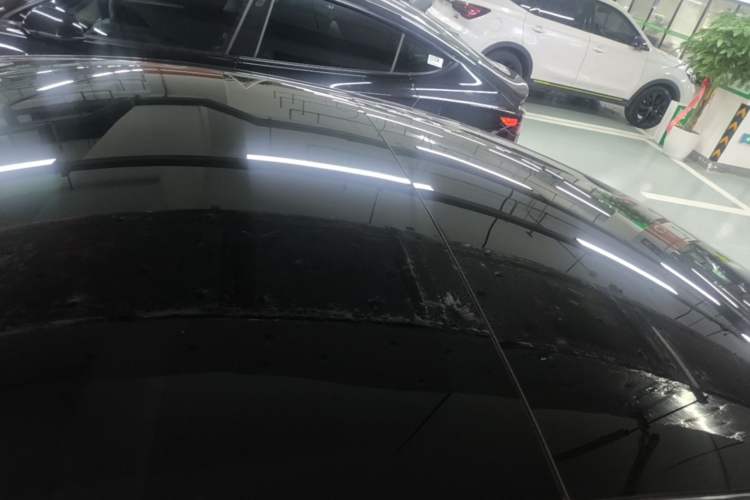 Used Tesla Model 3 2023 Rear-Wheel-Drive Version Roof