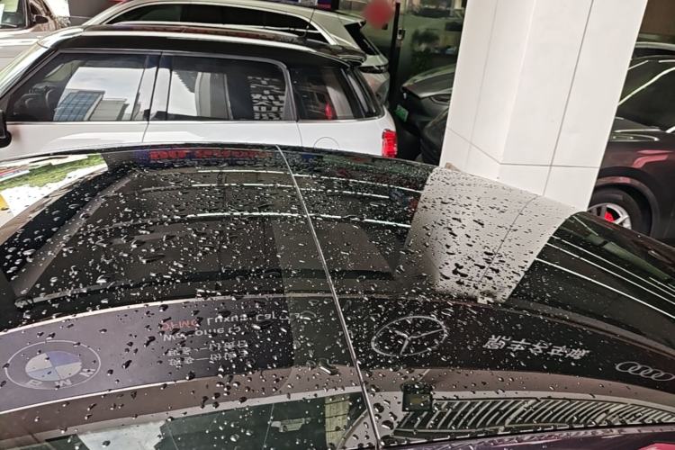 Used Tesla Model 3 2023 Rear-Wheel-Drive Version Roof