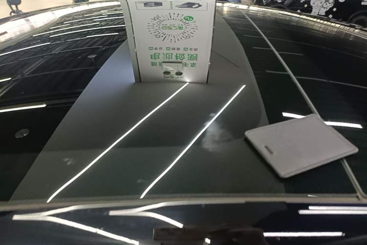 Used Tesla Model 3 2023 Rear-Wheel-Drive Version Roof