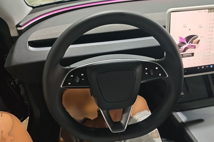 Used Tesla Model 3 2023 Long-Range All-Wheel-Drive Version Steering Wheel