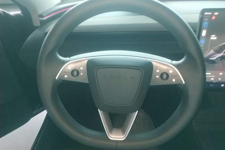 Used Tesla Model 3 2023 Long-Range All-Wheel-Drive Version Steering Wheel