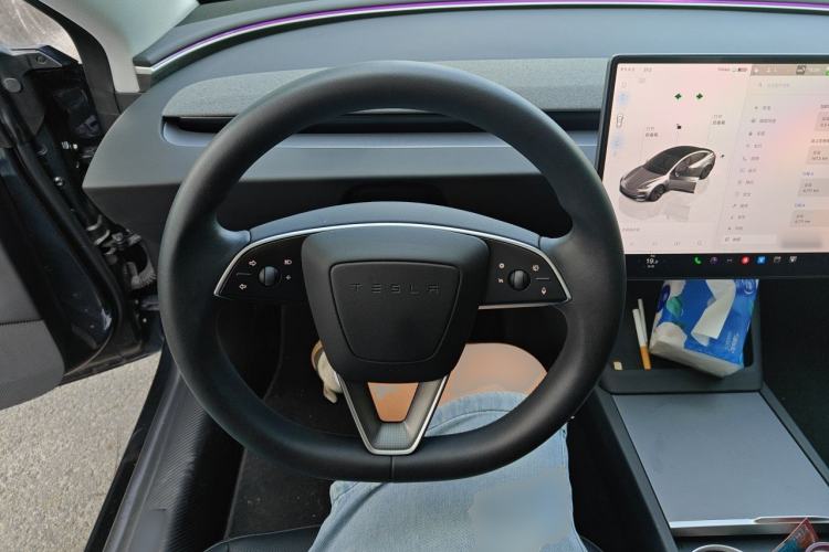 Used Tesla Model 3 2023 Long-Range All-Wheel-Drive Version Steering Wheel