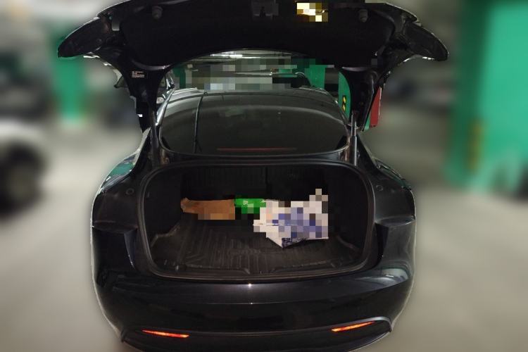 Used Tesla Model 3 2023 Rear-Wheel-Drive Version Trunk