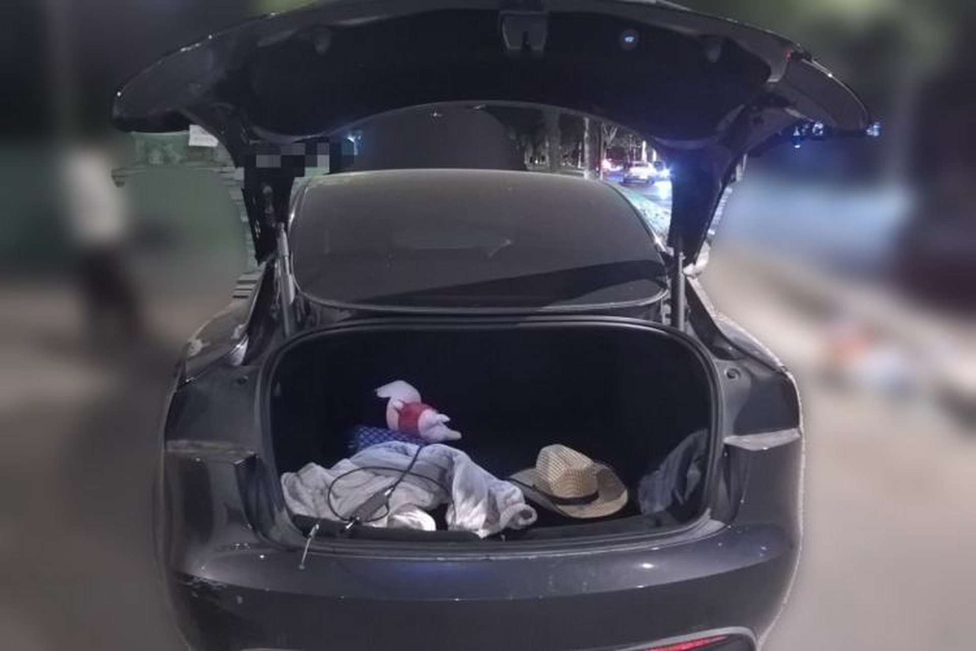 Used Tesla Model 3 2023 Rear-Wheel-Drive Version Trunk