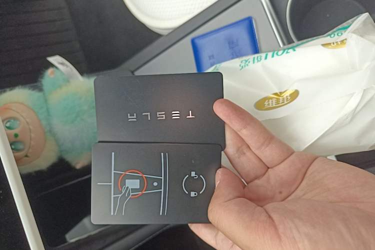 Used Tesla Model 3 2023 Rear-Wheel-Drive Version Vehicle Key