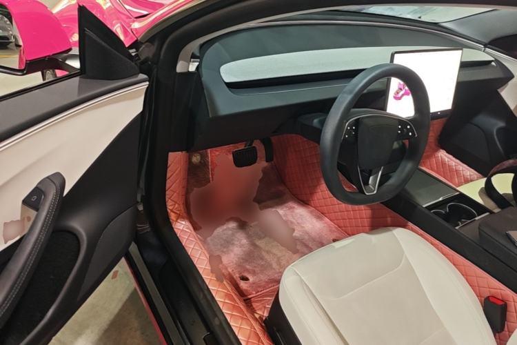 Used Tesla Model 3 2023 Rear-Wheel-Drive Version Driver Seat