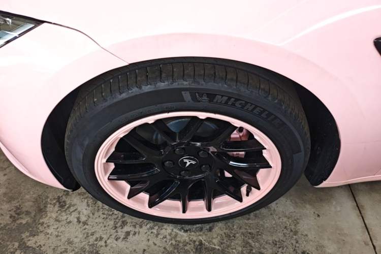 Used Tesla Model 3 2023 Rear-Wheel-Drive Version Exterior 3