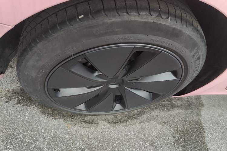 Used Tesla Model 3 2023 Rear-Wheel-Drive Version Exterior 5