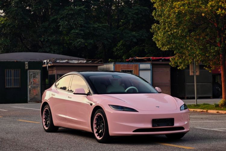 Used Tesla Model 3 2023 Rear-Wheel-Drive Version Exterior 6