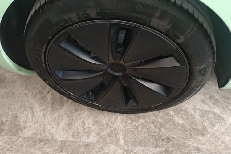 Used Tesla Model 3 2023 Rear-Wheel-Drive Version Exterior 2