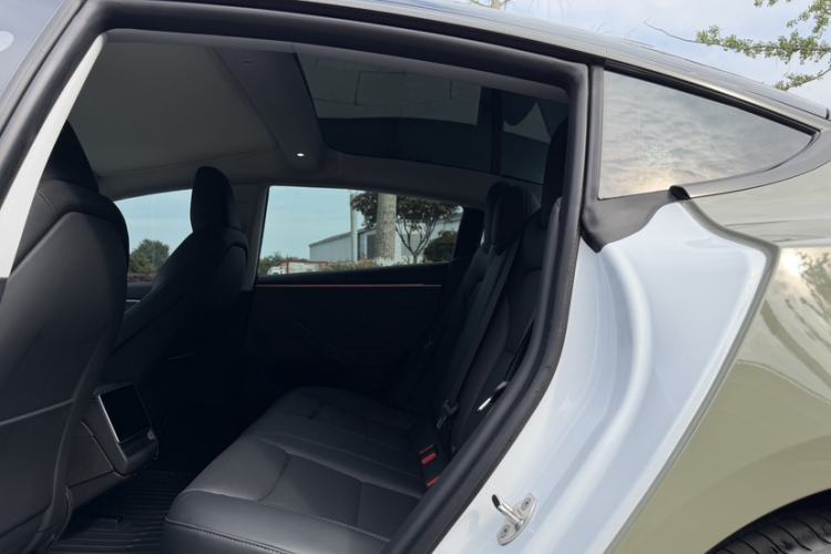 Used Tesla Model 3 2023 Rear-Wheel-Drive Version Exterior 8