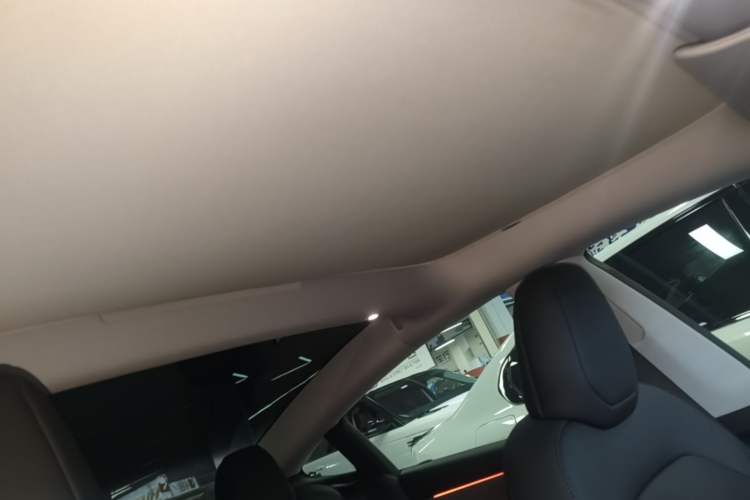 Used Tesla Model 3 2023 Rear-Wheel-Drive Version Headliner