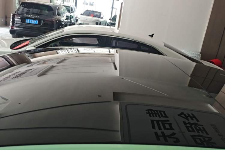 Used Tesla Model 3 2023 Rear-Wheel-Drive Version Roof