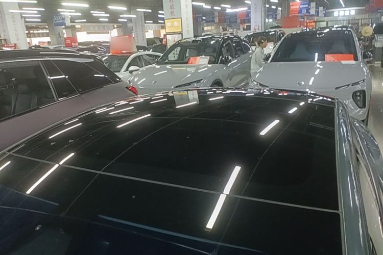 Used Tesla Model 3 2023 Rear-Wheel-Drive Version Roof