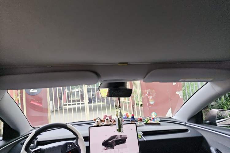 Used Tesla Model 3 2023 Rear-Wheel-Drive Version Headliner