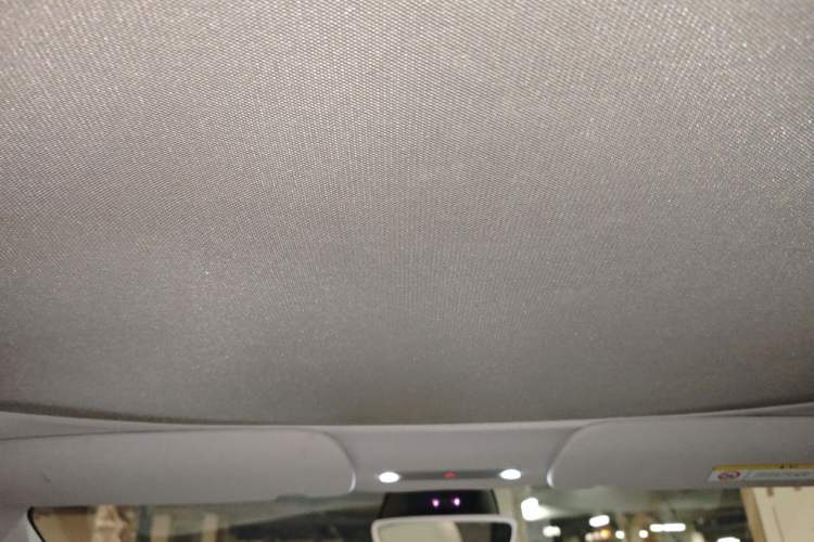 Used Tesla Model 3 2023 Rear-Wheel-Drive Version Headliner