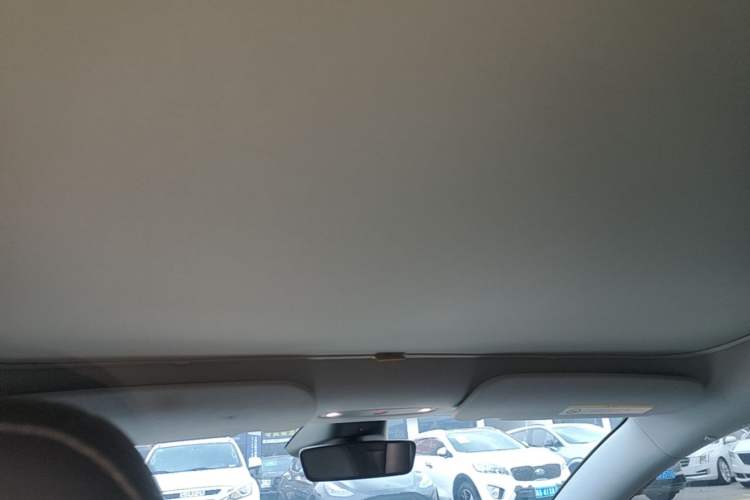 Used Tesla Model 3 2023 Rear-Wheel-Drive Version Headliner