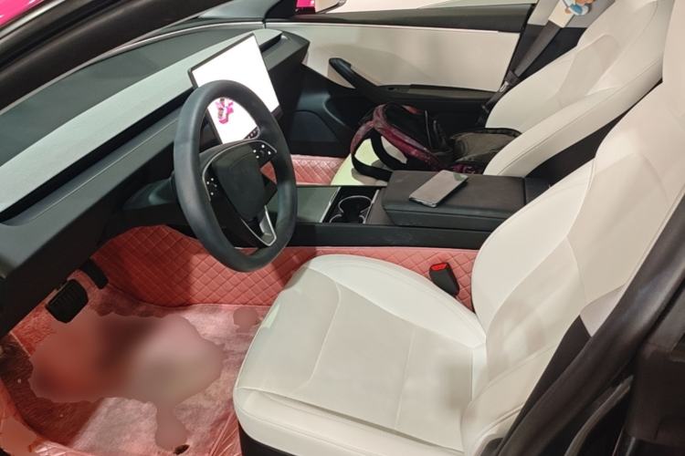 Used Tesla Model 3 2023 Rear-Wheel-Drive Version Left Front Seat