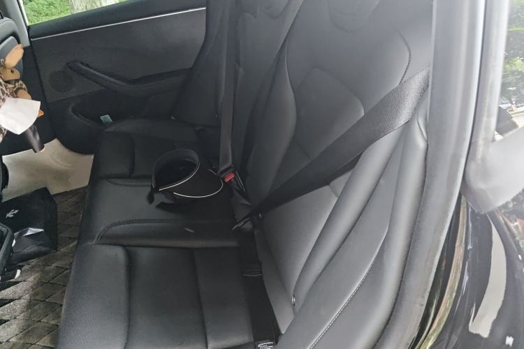 Used Tesla Model 3 2023 Rear-Wheel-Drive Version Left Rear Seat