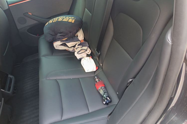 Used Tesla Model 3 2023 Rear-Wheel-Drive Version Left Rear Seat