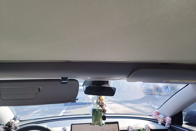 Used Tesla Model 3 2023 Rear-Wheel-Drive Version Headliner