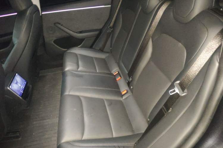 Used Tesla Model 3 2023 Long-Range All-Wheel-Drive Version Left Rear Seat